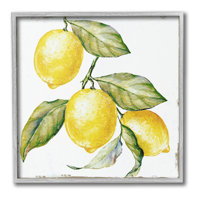 «Rustic Agrumes», art de la giclée encadrée par GraffiTee Studios, Estampe numérique Farmhouse, H 24 po x l 24 po