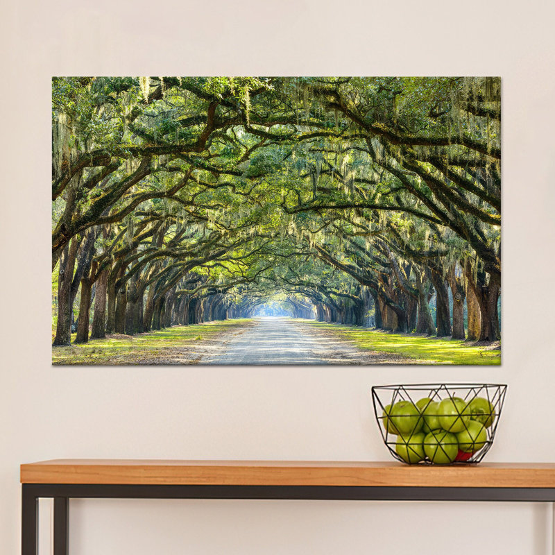 «Savannah Oak Trees», impression sur toile, art mural ligne de forêt, toile tendue 1P, H: 7,9 x l: 11,8 po