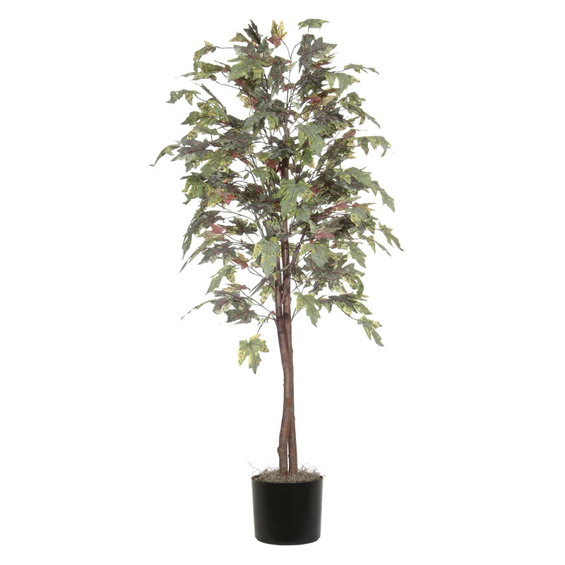72'' Faux Maple Plant in Pot