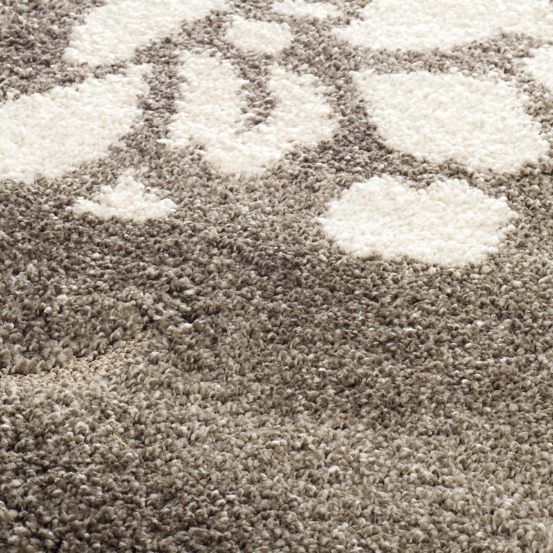 Tapis floral à poils longs Caniesha, Rectangle 9 pi 6 po x 13 pi