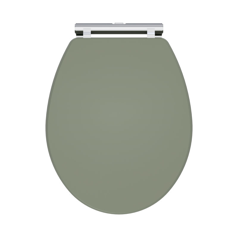 Soft Close Elongated Standard Toilet Seat, Satin Green