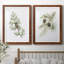 Winter Botanical III - ensemble de 2 reproductions d'art-1084665363-1084665594-1084665346