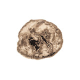 Slice Area Rug