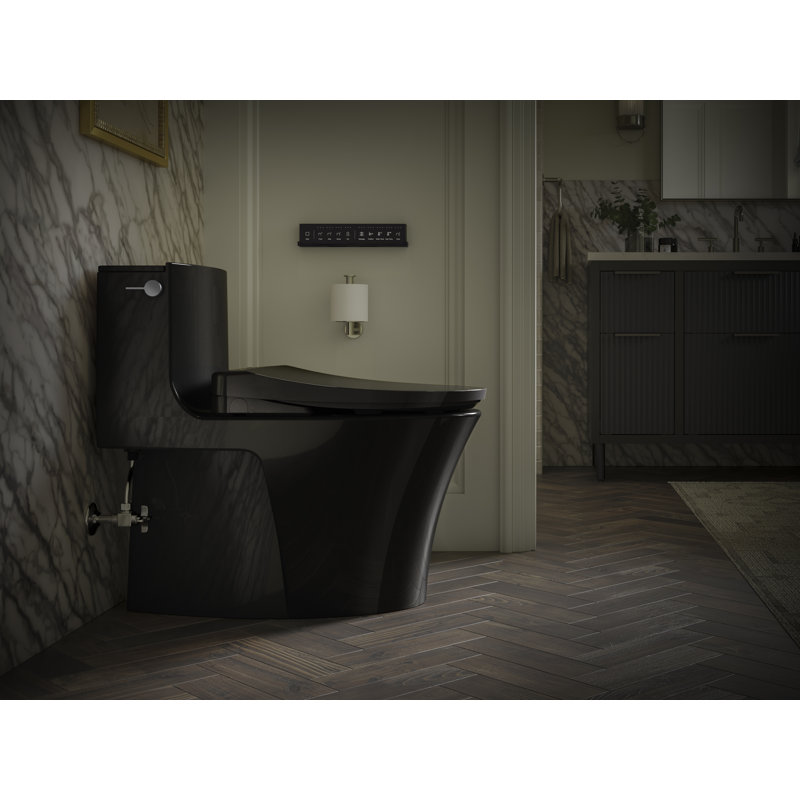 Veil™ One-Piece Elongated Dual-Flush Toilet with Skirted Trapway and Concealed Cords, Matte Black