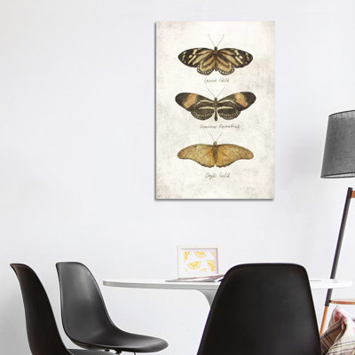 Butterflies III by Mike Koubou - Print on Canvas