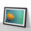 Blooming Orange Magnolia Flower in Abstract - Picture Frame Graphic Art Print-55687223-55687229