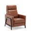 Fauteuil inclinable par pression-1538969883