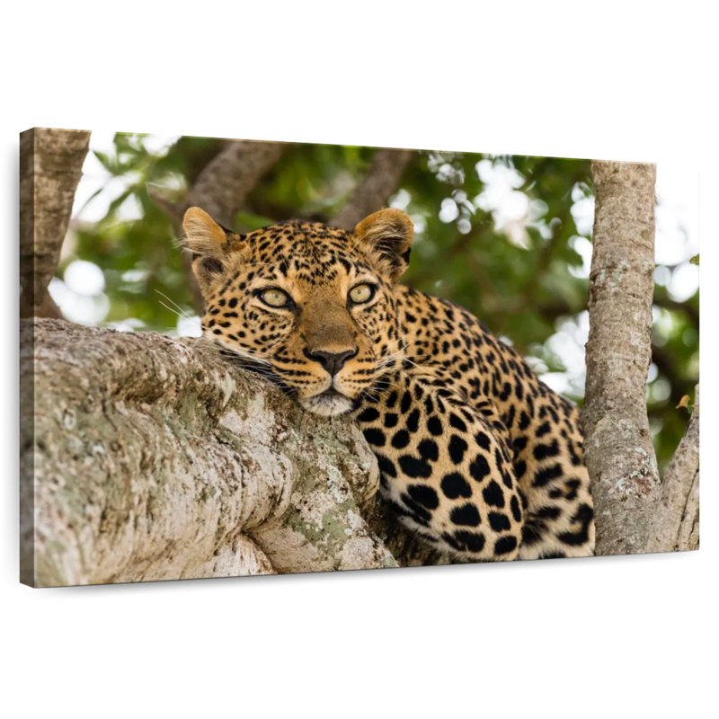 Brampt Leopard On Tree Trunk, 26" H x 39" W