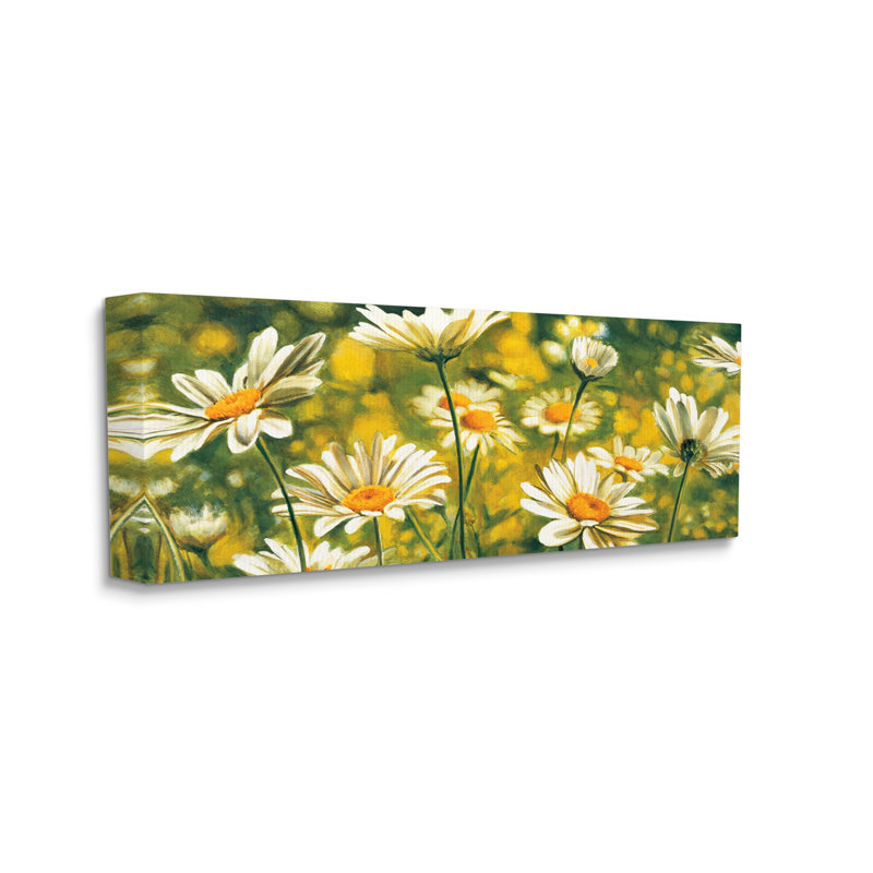 «Wild Daisies Wilding Nature Garden» par Pierre Viollet - Peinture, H 10 po x l 24 po x P 1,5 po, Toile tendue