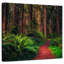 Alvord Redwood Forest Trail