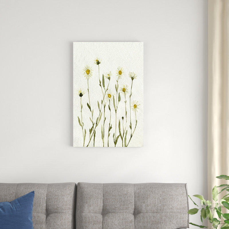 Marguerites blanches antiques II, H 30 po x l 20 po