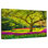 Parc de jardin Sireci Keukenhof