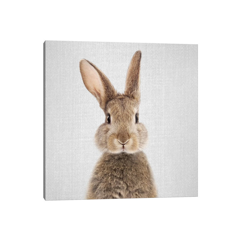 «Rabbit» - reproduction de photo, Toile tendue, H 37 po x l 37 po x P 1,5 po