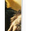 Holiday Monkey Photographic Art Print on Glass