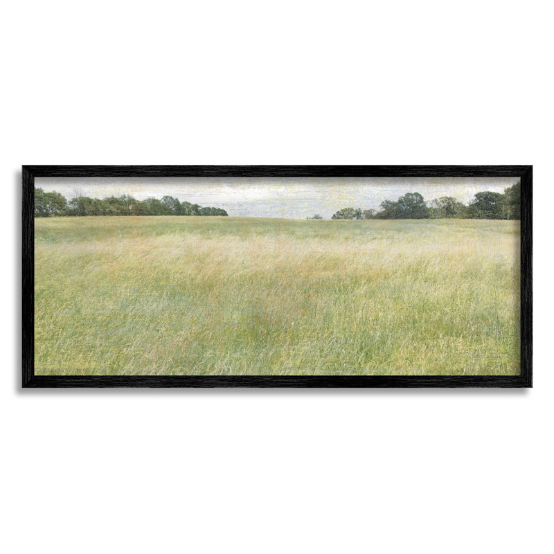Vaste champ de prairies champêtre, art giclée par Erin Clark, H 13 po x l 30 po x P 1,5 po, Giclée encadrée noir minuit