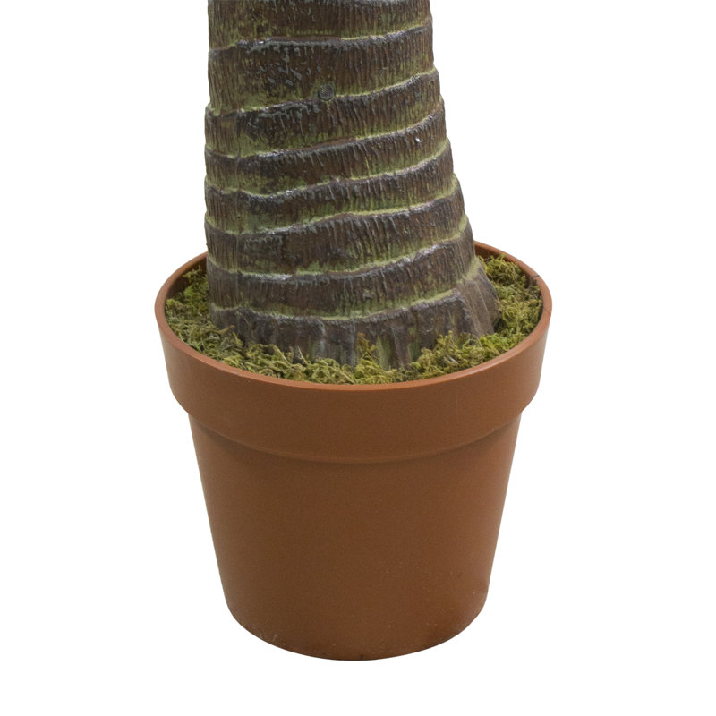 Tropical Elegance 7.5' Unlit Phoenix Palm Tree in Terracotta-Inspired Pot
