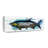 " Tarpon Fish "-174487608