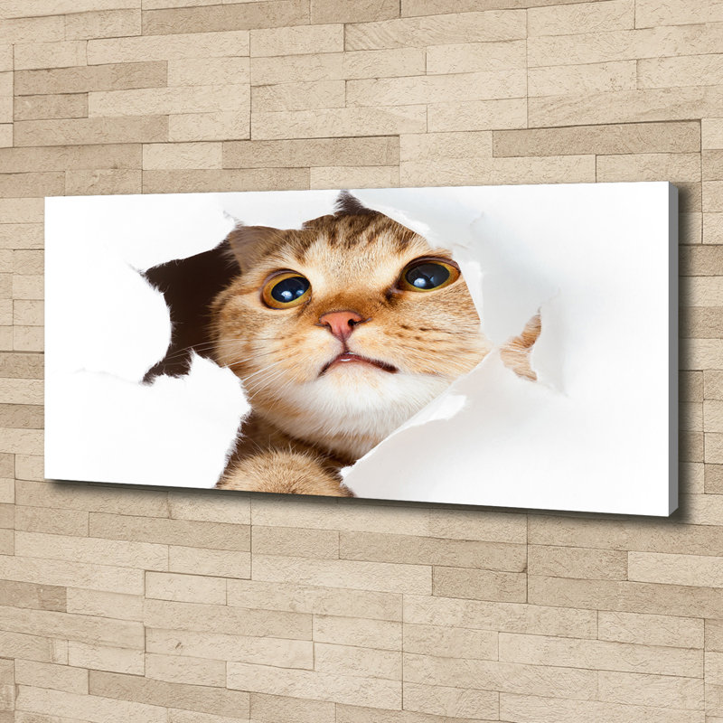 Cat In The Hole - No Frame Print on Canvas