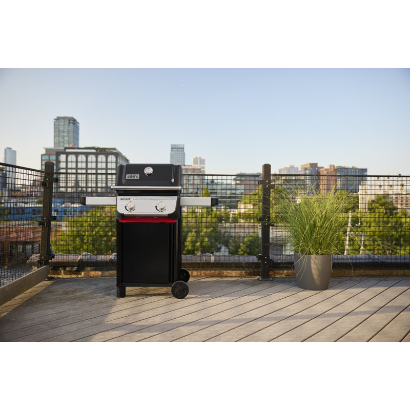 Weber Spirit E-210, propane liquide, noir