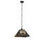 Rustic Lodge 2 - Light Pendant-16183366