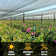 Colourtree 50% Black Shade Cloth Custom  Mesh Tarp, UV Resistant Netting With Upgrade Grommets For Plant Cover, Greenhouse, Chicken Coop, Barn, Kennel, Garden (We Make Custom Size)