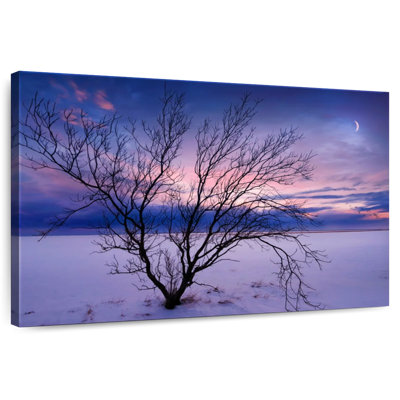 Harnek Icelandic Winter Tree