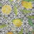 Premium Machine Washable Dream Shag ADS160 Lemons Rug-472017671