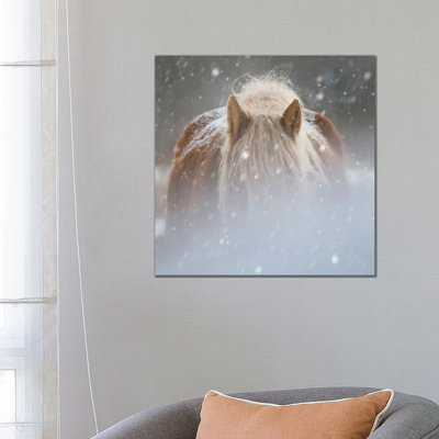Collection Of Horses V by PHBurchett - Wrapped Canvas Print