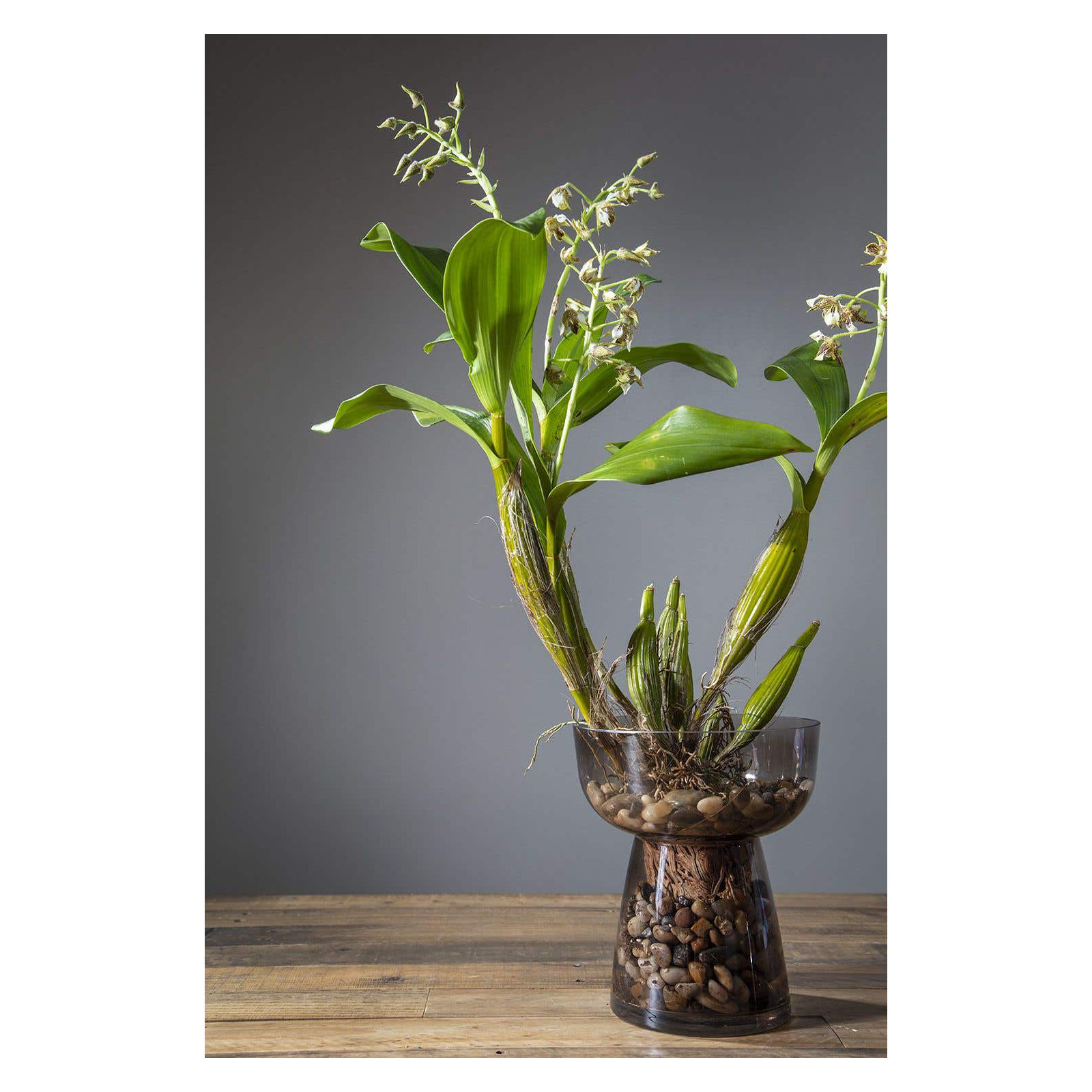 Aylor Table Vase, 9.75" H x 8.50" W x 8.50" D