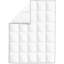 Higgason Winter Comforter-739800221