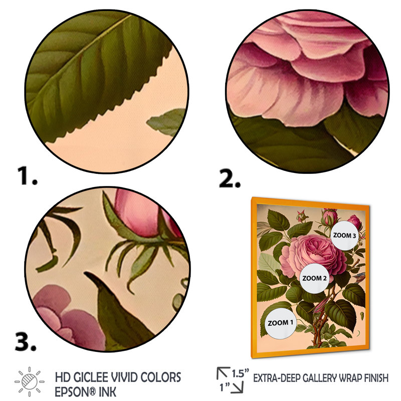 «Blossoming Vintage Rose I», reproduction sur toile, H 20 po x l 12 po x P 1 po, Impression dorée sur toile encadrée