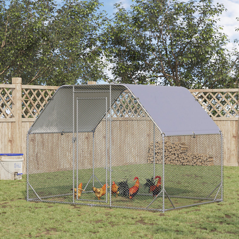 5.32m² Chicken Run For Up To 6 Chickens