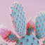 «Petal Paradise - Blossom» par Philippe Hugonnard, reproduction d'art encadrée à la main-1626830817