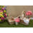 Wooden Decorative Box