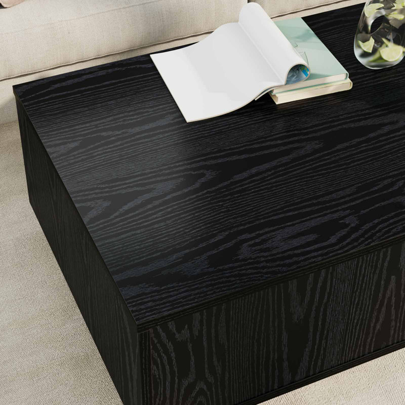 Coffee Table with Storage, Black Oak