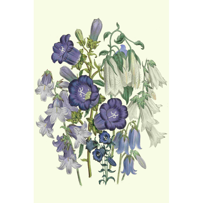 Loudon Florals I, H 36 po x l 24 po