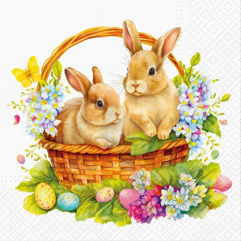 Ensemble de 20 serviettes de table-repas Bunnies