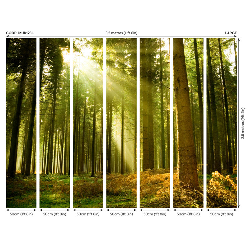 Sunay Matte Wall Mural, 280 cm L x 350 cm W