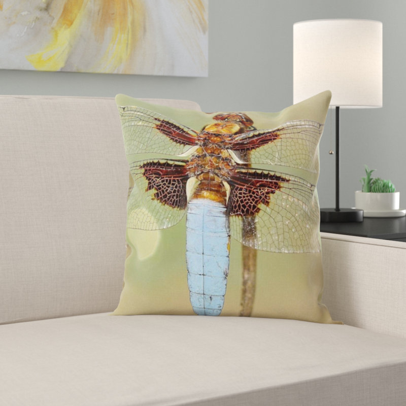 Coussin insectes