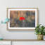 Red Poppy Flower - Framed Print-56758866-56758867