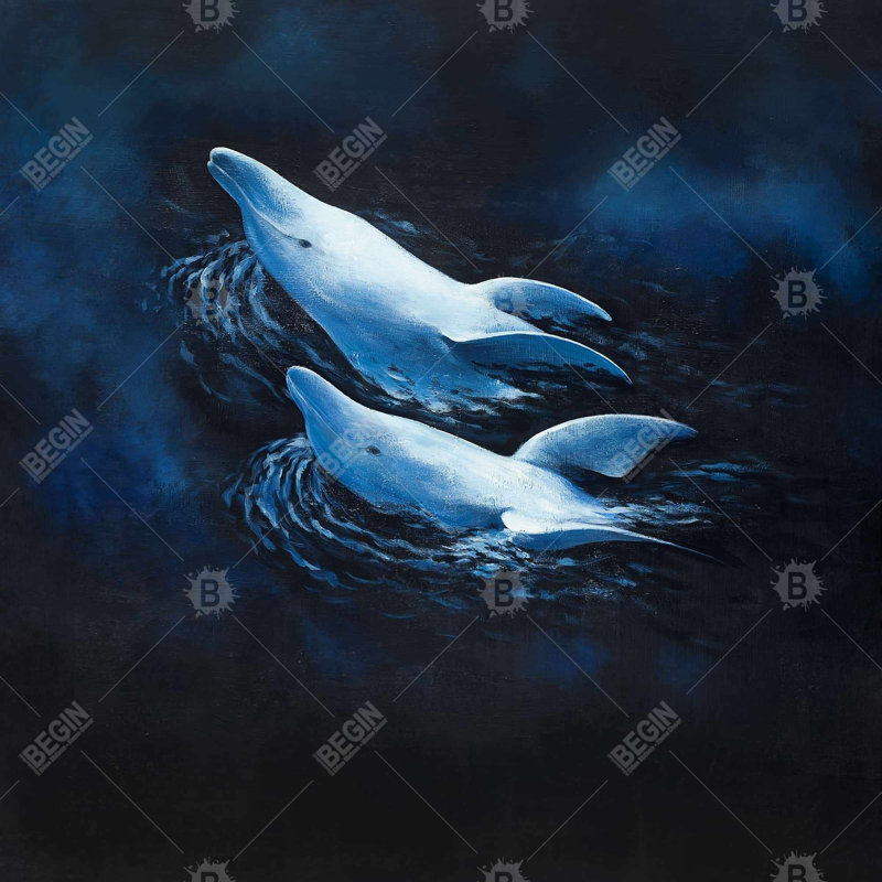 " Two Swimming Dolphins "