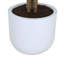 ARBRE EUCALPTUS POT 4 PIEDS