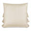 Holiday Glam Square Pillow Cover & Insert