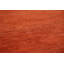 Tapis orange moderne Gabbeh 5 x 7