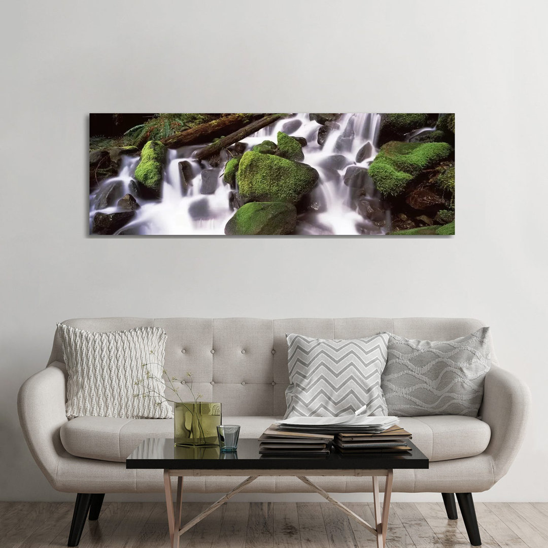 Cascading Waterfall In A Rainforest, Olympic National Park, Washington State, USA - Wrapped Canvas Panoramic Print