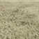 Tachiana Hand Tufted Shaggy Sage Area Rug