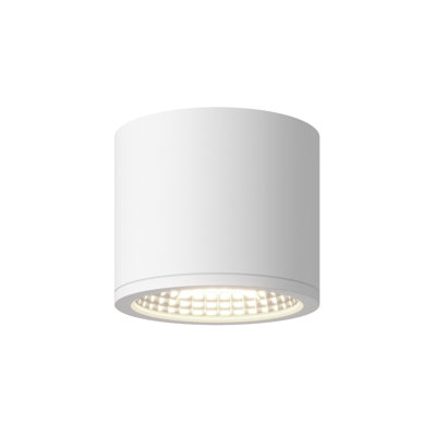 Plafonnier extérieur DEL blanc nordique 4 po (5 po de diamètre)