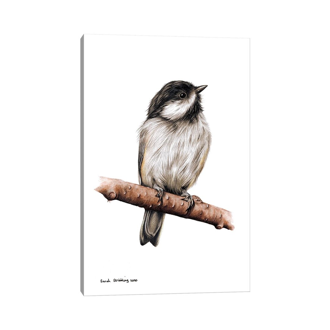 Chickadee II von Sarah Stribbling - Ohne Rahmen Galerieverpackte Leinwand Giclée auf Leinwand