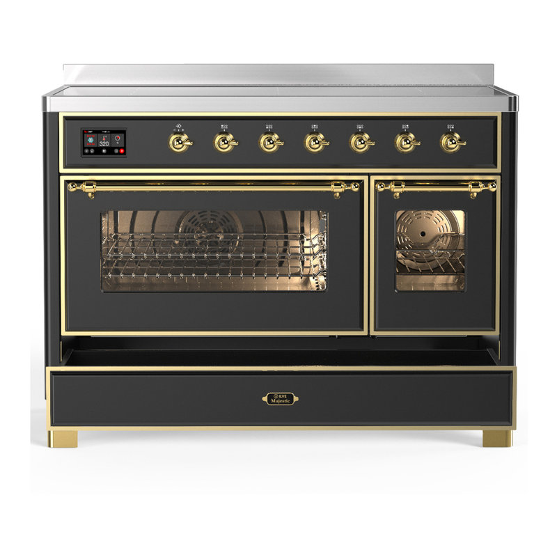 Majestic III Series 48 Inch Induction Range with 6 Induction Elements in Matte Graphite (Brass Trim), Brass, Matte Graphite