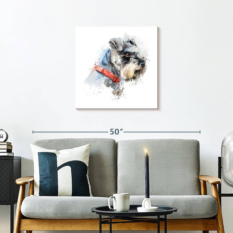 Crowle Schnauzer Splash